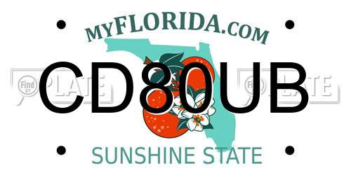 CD80UB Florida License Plate