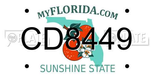 CD8449 Florida License Plate