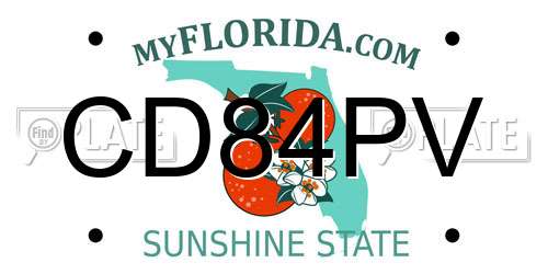 CD84PV Florida License Plate