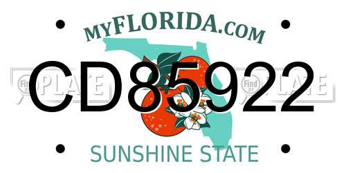 CD85922 Florida License Plate