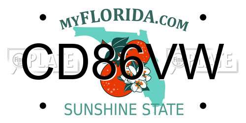 CD86VW Florida License Plate