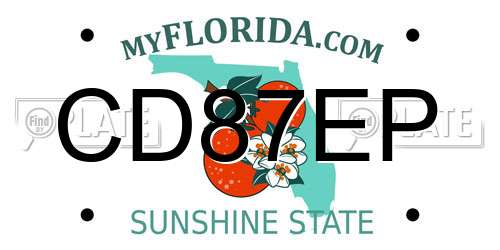 CD87EP Florida License Plate