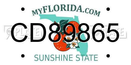 CD89865 Florida License Plate