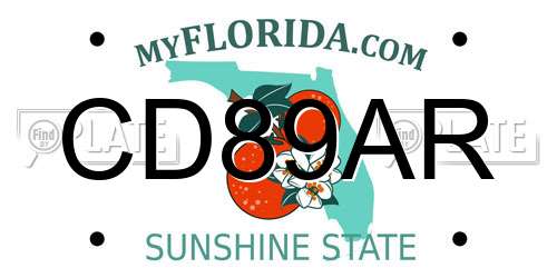 CD89AR Florida License Plate