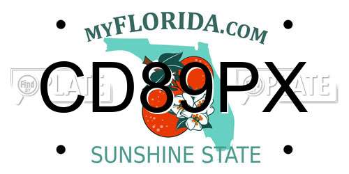 CD89PX Florida License Plate