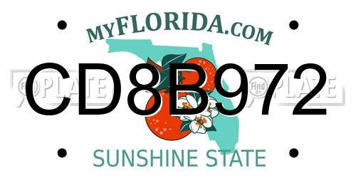 CD8B972 Florida License Plate