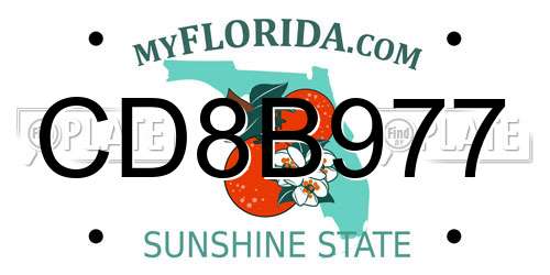 CD8B977 Florida License Plate