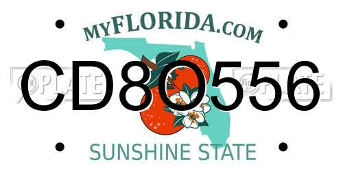 CD8O556 Florida License Plate