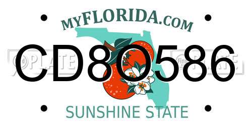 CD8O586 Florida License Plate