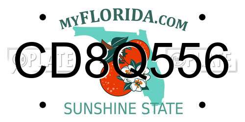 CD8Q556 Florida License Plate