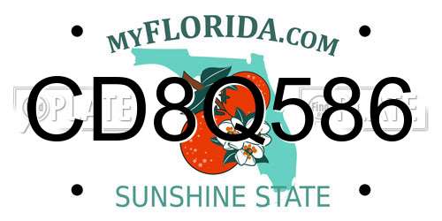 CD8Q586 Florida License Plate