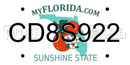 CD8S922 Florida License Plate