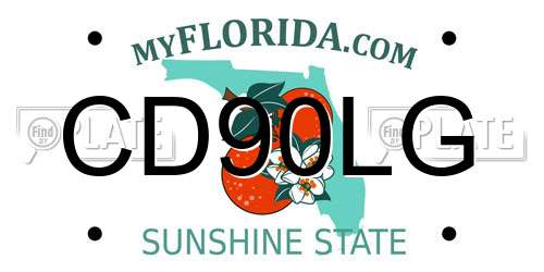 CD90LG Florida License Plate