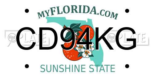 CD94KG Florida License Plate