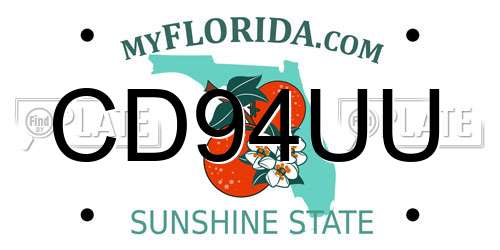 CD94UU Florida License Plate