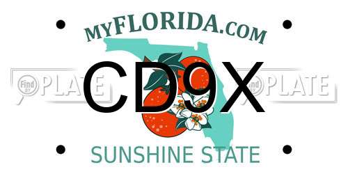 CD9X Florida License Plate