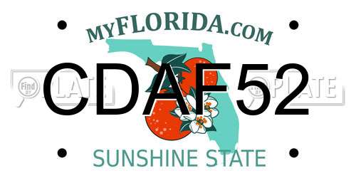 CDAF52 Florida License Plate