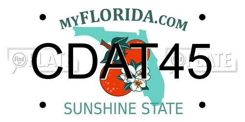 CDAT45 Florida License Plate