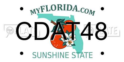 CDAT48 Florida License Plate