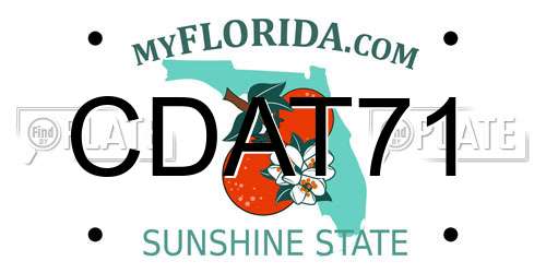 CDAT71 Florida License Plate