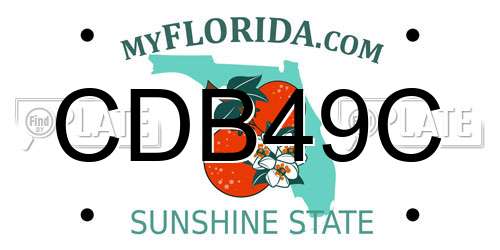 CDB49C Florida License Plate
