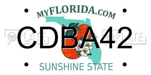 CDBA42 Florida License Plate
