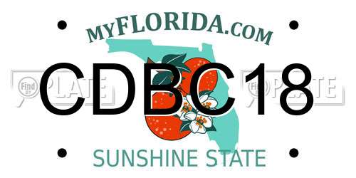 CDBC18 Florida License Plate