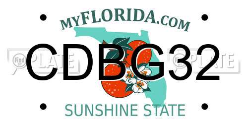 CDBG32 Florida License Plate