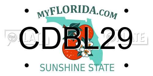 CDBL29 Florida License Plate