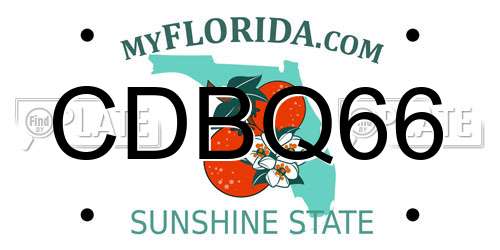CDBQ66 Florida License Plate