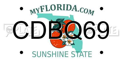 CDBQ69 Florida License Plate
