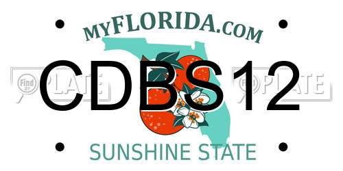 CDBS12 Florida License Plate