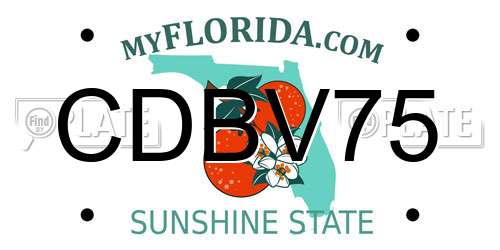 CDBV75 Florida License Plate