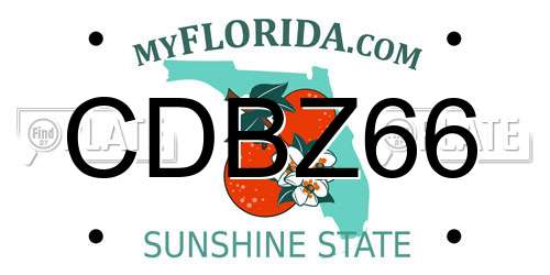 CDBZ66 Florida License Plate