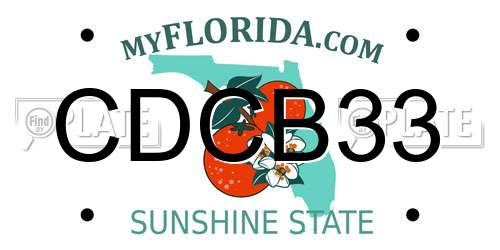 CDCB33 Florida License Plate