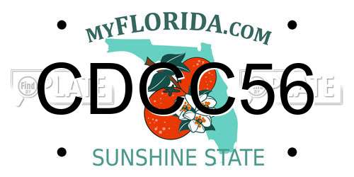 CDCC56 Florida License Plate