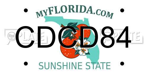 CDCD84 Florida License Plate