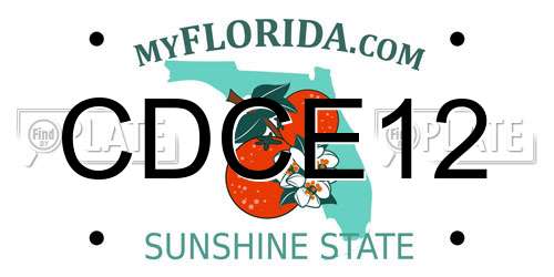 CDCE12 Florida License Plate