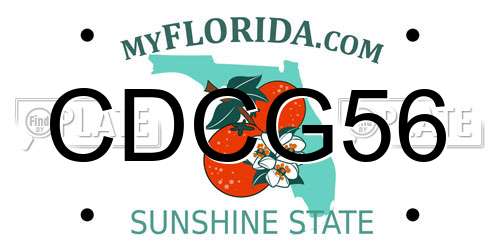 CDCG56 Florida License Plate
