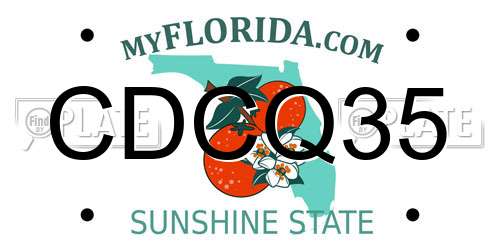CDCQ35 Florida License Plate