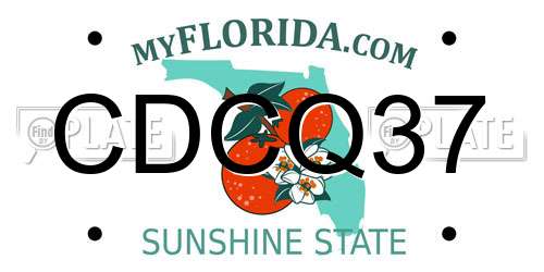 CDCQ37 Florida License Plate