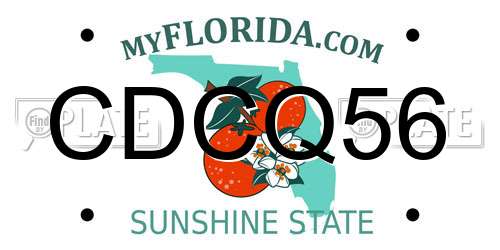 CDCQ56 Florida License Plate