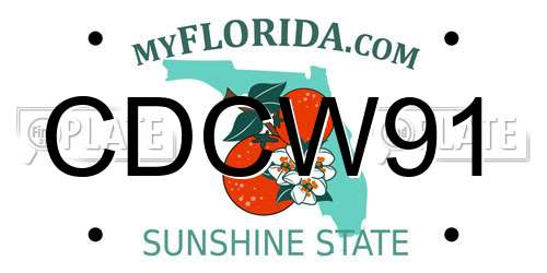 CDCW91 Florida License Plate