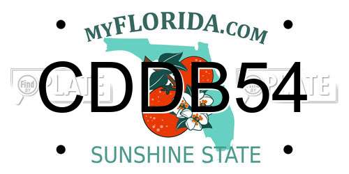 CDDB54 Florida License Plate