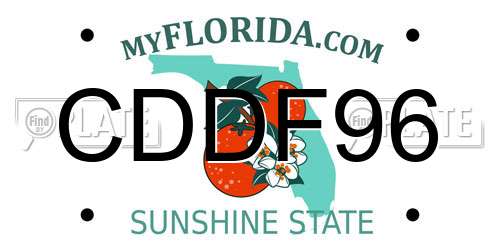CDDF96 Florida License Plate