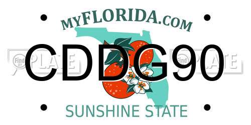 CDDG90 Florida License Plate