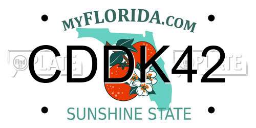 CDDK42 Florida License Plate