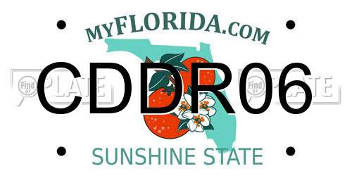 CDDR06 Florida License Plate