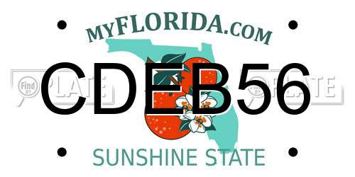 CDEB56 Florida License Plate