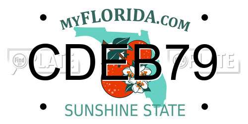 CDEB79 Florida License Plate